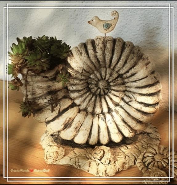 Pflanzschale Ammonit Schnecke